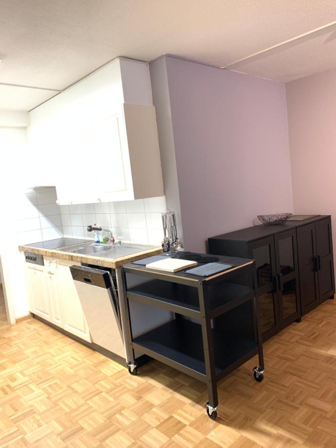 בזל Xl City Center Apartment-Contactless Check-In מראה חיצוני תמונה
